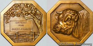 S2508 France Médaille Octogonale Taureau de compétition Ouest France Delandre