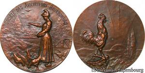 S2517 France Médaille Coq Lever du Jour Société Agriculteurs Bourbonnais R. Delamarre