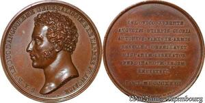 S3261 France Rare Médaille Louis Antoine Duc Angoulême 1775-1844. De Puymaurin 1823