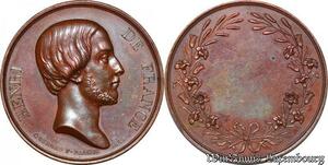 S3274 France Médaille Henri De France Prague Gayrard 1842 - Faire Offre