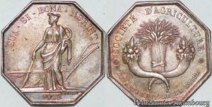 S3288 France Médaille Octogonale Société Agriculture Loire Dubois 1828 Argent Silver