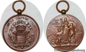 S3336 France Médaille Ville De Castres Tarn Pour La Patrie - Faire Offre