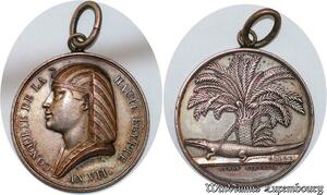 S3412 Rare Medal Egypt Conquest Napoléon Nil Crocodile An VII 1799 Silver AU