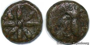 S3658 Greece Grand Astre à 8 rayons Abeille Bee Ceus Julia - Faire Offre