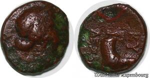 S3668 Greece Aiolis Kyme 250-190 Kopf der Amazone Kyme KY - Faire Offre