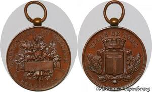 S950 France Médaille Centenaire ville Toul 54 Collège 1804 1904 ->Faire Offre