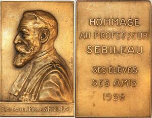 P0472 Rare France Plaque De Herain Pr Pierre Sebilleau Médecin Chirurgien 1926 SUP