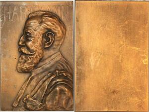 P0478 Rare France Plaque Médecine Henri Hartmann Médecin Chirurgien De Herain SUP