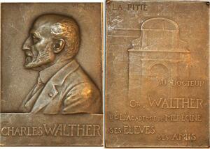 P0481 Rare France Plaque Charles Walther Docteur Médecine Fonfrewe SUP