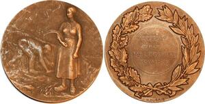 P0491 France Médaille Agriculture Senateur Legouez H Dubois Pierre Lenoir -> F offre