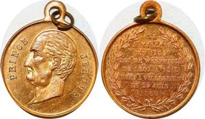 P1760 Médaille Prince Jérôme Bonaparte Ajaccio 1784 1860 Roi Wesphalie SPL