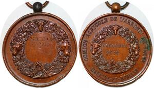 P1768 France Médaille Comice Agricole Briey Meurthe et Moselle Taurillons 1er Prix