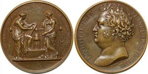 P2627 France Médaille Louis Philippe Leopold Prince Salerne Barre Desnoyers 1846 SUP