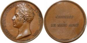 P2644 Rare France Médaille Charles X Le bien aimé 1824 Vivier Leveque Desnoyers