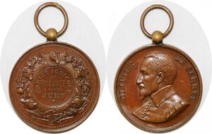 P2687 France Médaille Olivier de Serres Comice Agricole Mazamet Tarn  Desnoyers SPL