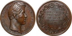 P2732 Médaille Charles X Visite Verdun 1828 Dubois Desnoyers SPL