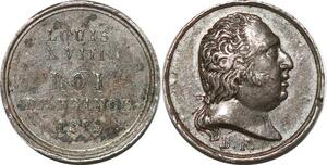 P2765 Rare France 11mm Médaille Louis XVIII Roi de France 1816 Desnoyers SUP