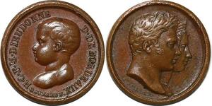 P2769 Rare France 12mm Médaille Henri Dieudonné Duc Bordeaux Desnoyers SUP