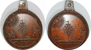 P2898 Very Rare France French Medal Revolution 1789 Tree of Life Masonic 1794 SUP