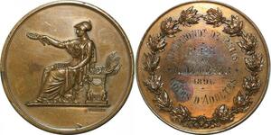 P4799 France Médaille Cours d'Adulte 15ème arrondt Paris Prix Mr De Meyer