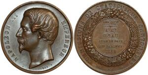 O6520 Médaille Napoléon III Cantonales Brau Juge Paix 1859 Garonne SPL