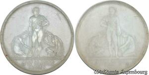 S3403 France Médaille Napoléon Prise Vienne Et Presbourg 1805 Moulage Plexiglass