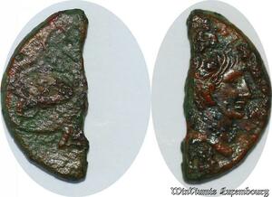 S5066 Nemausus Nimes I S. Bc - I S. Ad Dupondius As Col Nem Crocodile