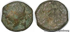 S5941 Romain Romaine à identifer ->Faire Offre