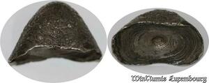 S8263 Rare China 10 Taels Sycees Yuanbao Qin Ingots Ming Dynasty Silver