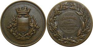 O5056 Medaille 50 ans Comité Archéologique Noyon 1905 dubois SUP