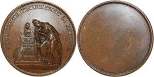 O5514 Rare Medal Hommage Louis XVIII Regrets mémoire Brun Desnoyers