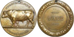 R0522 Belgium Medal Agriculture Vache Cow Namur R de Meester AU ->Offer