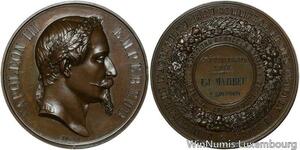 O4600 Rare Médaille Napoléon III Concours Animaux Châteauroux 1866 SPL