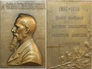 O6235 France Plaque Schutzenberger Urbain Chimie Albuminoides 1829 1929 SUP