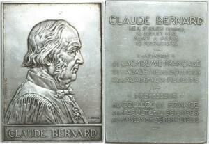 O6239 France Plaque Claude Bernard Sciences Médecine Borrel 1913 SUP
