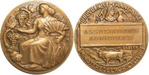 O6279 France Médaille Associations Agricoles Ministère Agriculture Petit SUP
