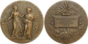 O6315 France Médaille Ministère Agriculture Concours Hippique Paris dubois 1914 SUP
