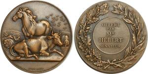 O6369 France Médaille Horse Bœuf Cheval Sénateur dubois SUP