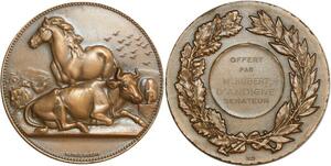 O6370 France Médaille Horse Bœuf Cheval Sénateur dubois SUP