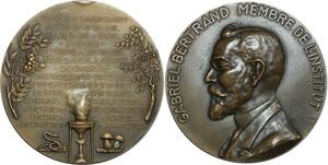 O6385 France Médaille Gabriel Bertrand 1938 Médecine Venins Vaccinations SUP