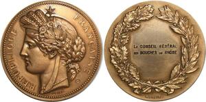 O6389 France Médaille Conseil Général Bouches du Rhône dubois Oudine 1968 SUP