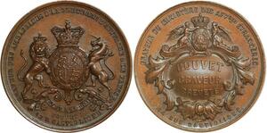 O6924 Rare Médaille Bouvet graveur Angleterre Autriche Prusse Aff. Etr. SPL