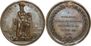 O7065 Unique Medal Switzerland Swiss Ricaud Deputy in Rio de Janeiro 1838 Brazil
