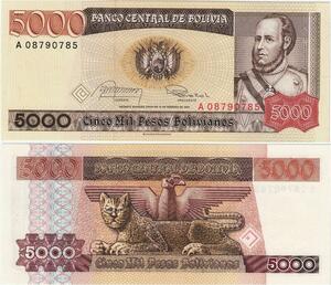 Q5344 Banknote Bolivia 5000 Pesos José Ballivian y Segurola Leopard 1984