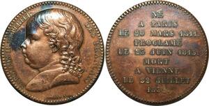 R1145 Rare Médaille Napoléon II 1811 1832 Mort à Vienne Borrel SPL ->Offer