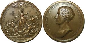 R1599 Rare Médaille Napoléon Ie Consul Marengo Paix Luneville an 9 1801 Duvivier