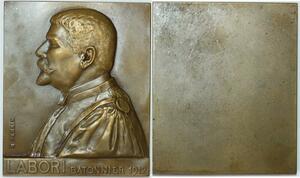 R1692 Rare Coffret Plaque Labori Affaire Dreyfus Epreuve Auteur Persin 1912 SUP