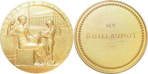 R1698 Rare Médaille Art Nouveau Agent Change 1898 Vermeil Roty Guillaumot SPL