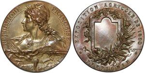 R1982 Médaille Exposition Agricole Marianne 1890 Bottée Perpignan SUP -> M Offer