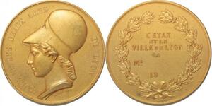 R2370 Rare Coffret Médaille Athena Ecole Beaux Arts Lyon Barre 1831 Vermeil SUP